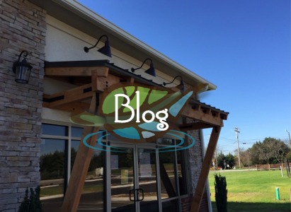 Blog